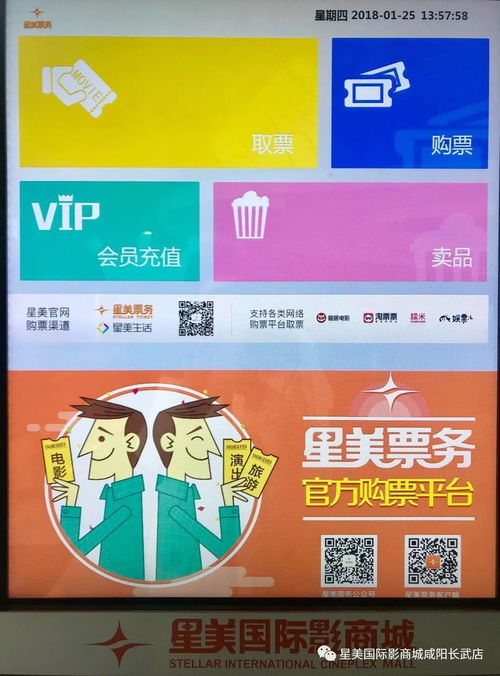 如何使用球馆自助购票平台官网进行查询？