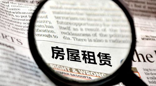 如何使用个人所得税自助经办平台？探索高效税务处理新途径