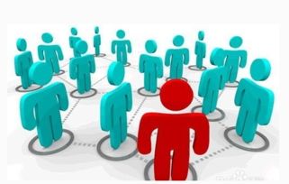 黎叔副业究竟是什么？他如何成功拓展多元化收入？