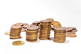 为何要在年轻时努力赚钱？把握挣钱黄金期的重要性