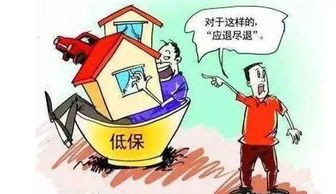 如何合法开展算命副业？你准备好了吗？