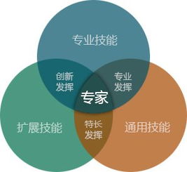 个体经营与职场工作，究竟哪种方式更能助你财富增长？
