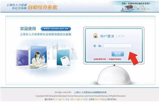 如何使用上海劳动保障网的自助平台？这是您的优化指南吗？