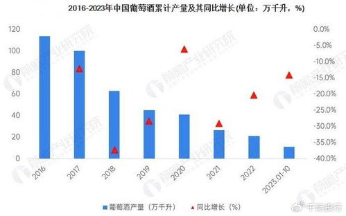 2024年投身红酒行业，能否实现盈利前景？