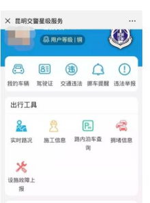 如何使用民政局自助查询业务系统？详解操作步骤与功能优势