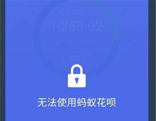 如何使用花呗自助平台进行操作？这是否是您需要的最佳指南？