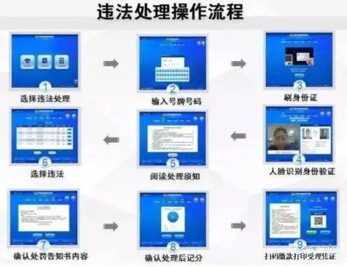如何使用自助违法处理平台？这是您的合规解决方案吗？