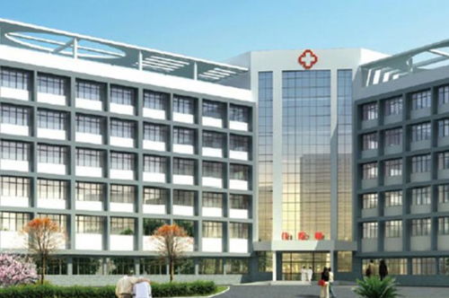 武汉市第九医院口碑如何？医疗服务质量究竟怎样？
