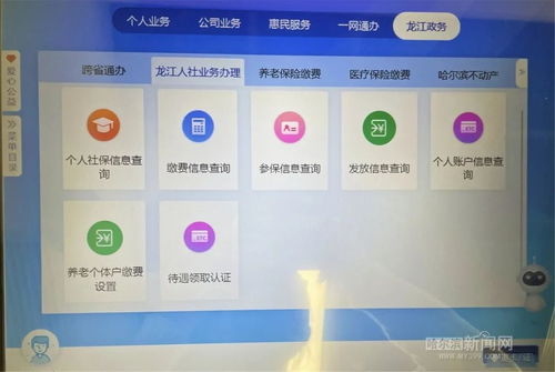 如何便捷使用会员自助查询网站？一站式服务指南