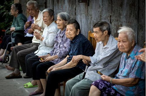 昔日计划生育标兵县，今何只见白发苍苍？