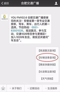 如何使用自助查询违章处理平台？这是您的终极指南吗？