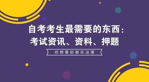 如何通过演唱会实现盈利？赚钱攻略大揭秘！