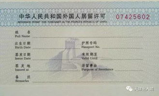 如何使用诏安出入境自助预约网站进行预约？