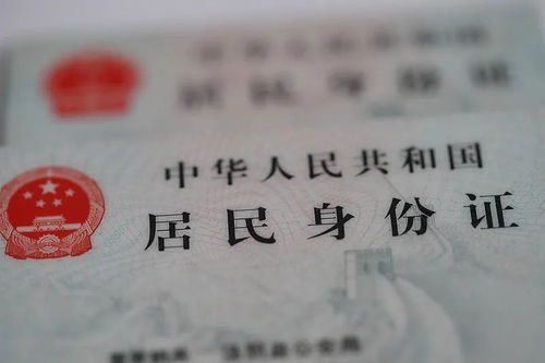 如何使用身份证自助办理预约平台进行预约？