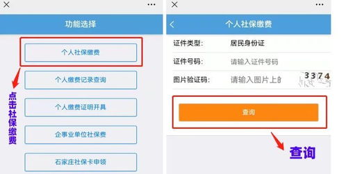 如何使用邢台医保自助缴费平台进行便捷缴费？