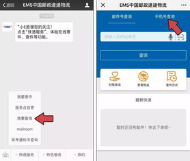 如何使用自助查询快递信息的平台？一键掌握快递动态！