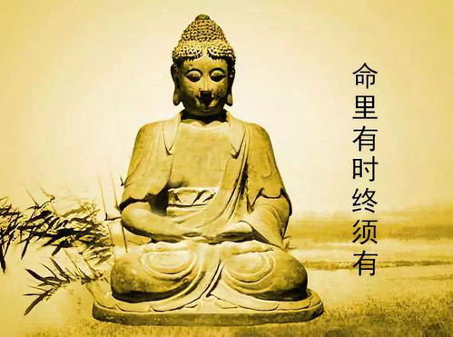 80后真的在用生命换金钱吗？他们的生活现状如何？