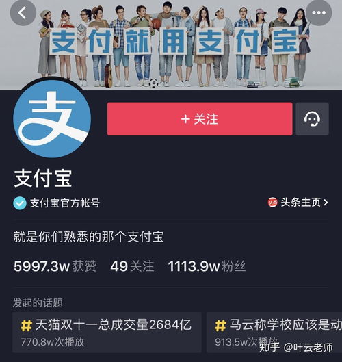如何利用自助抖音推广合作平台提升品牌影响力？