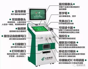 如何办理自助洗车的排水业务？具体步骤是怎样的？