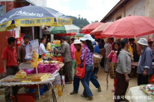 在上海农村，有哪些赚钱的门路你知道吗？