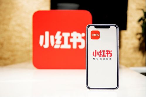 如何利用抖音小红书自助业务平台实现流量变现？