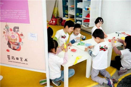 想了解番茄田美术的教学质量和收费标准吗？