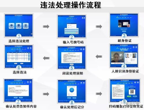 如何在EMS官网快速自助下单？便捷操作指南详解