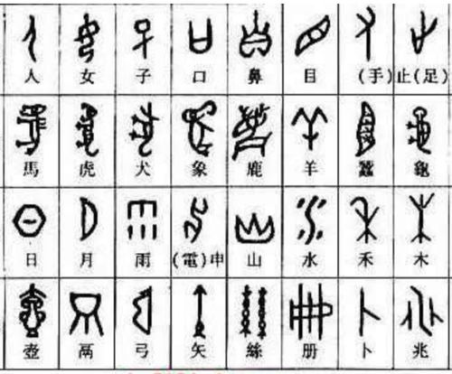 小篆之后接何种字体？探寻汉字演变脉络
