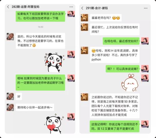 喜兔副业真的能带来可观收入吗？你试过吗？