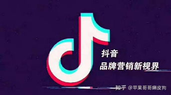 如何利用自助服务开启你的抖音直播业务？