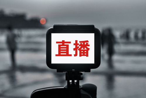 开店拍视频，这算是你的副业选择吗？