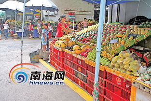 海口水果批发市场哪家强？微信渠道批发靠谱吗？