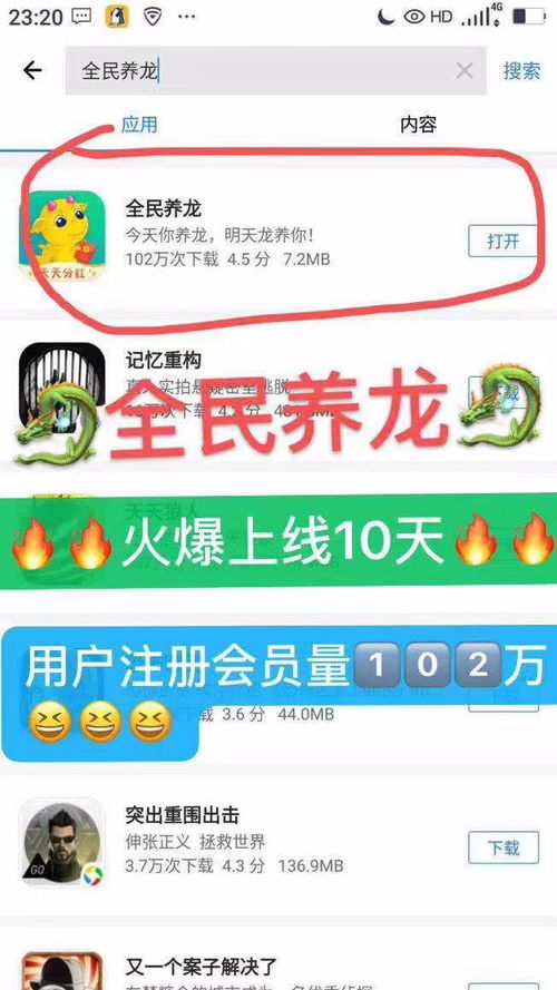 如何通过养龙实现高效盈利？全面攻略解析