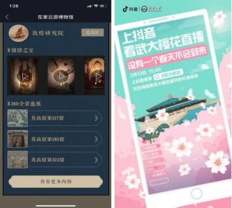 如何利用抖音自助平台进行直播？探索直播新方式！