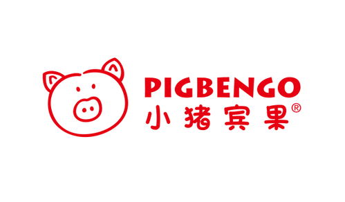 如何成功开展童装童书代理业务，掌握哪些关键步骤？