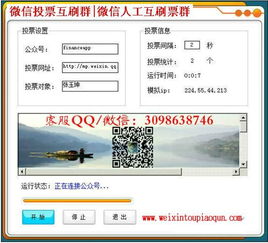 如何利用自助平台进行刷投票操作，这样的方法可靠吗？