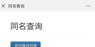 如何在北京公安局网站进行自助查询服务？