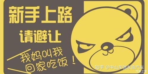 刺绣能否成为赚钱的副业？新手入门必看！