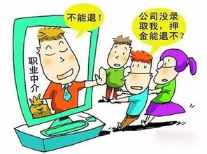政府是否会招募大学生担任暑期兼职岗位？