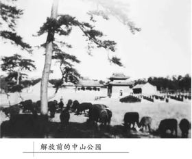 广政农副业基地背后隐藏了哪些不为人知的秘密？