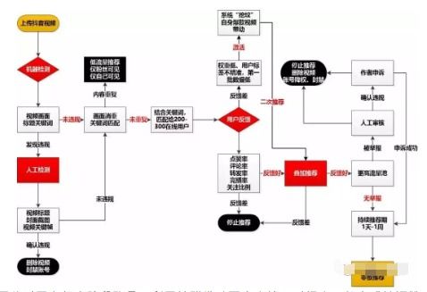 拍抖音如何实现盈利？收益提现途径详解