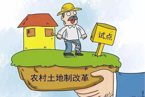 乡村副业究竟属于哪一种职业类型？它对农民增收有何影响？