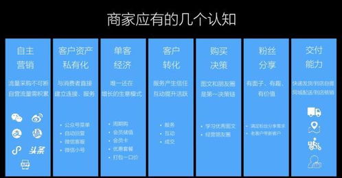 155级魔方寸山如何高效赚钱？实战攻略分享