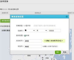 如何在孝感使用自助违章查询网站进行高效查询？