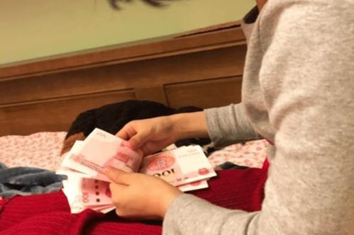 农村宝妈如何兼顾带娃与赚钱？实现家庭事业双赢的秘诀是什么？