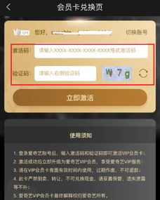 如何在会员激活码自助购买平台进行快速购买？