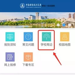 如何在个人网上自助平台上实现高效操作与自助服务？