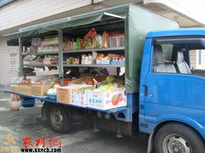 农村创业选什么车型更赚钱？市场需求分析帮你选对车