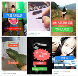 如何在快手上进行双击点赞？自助平台操作指南大揭秘！