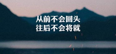 四片叶子微商究竟有何神秘之处，能让众多创业者纷纷加入？